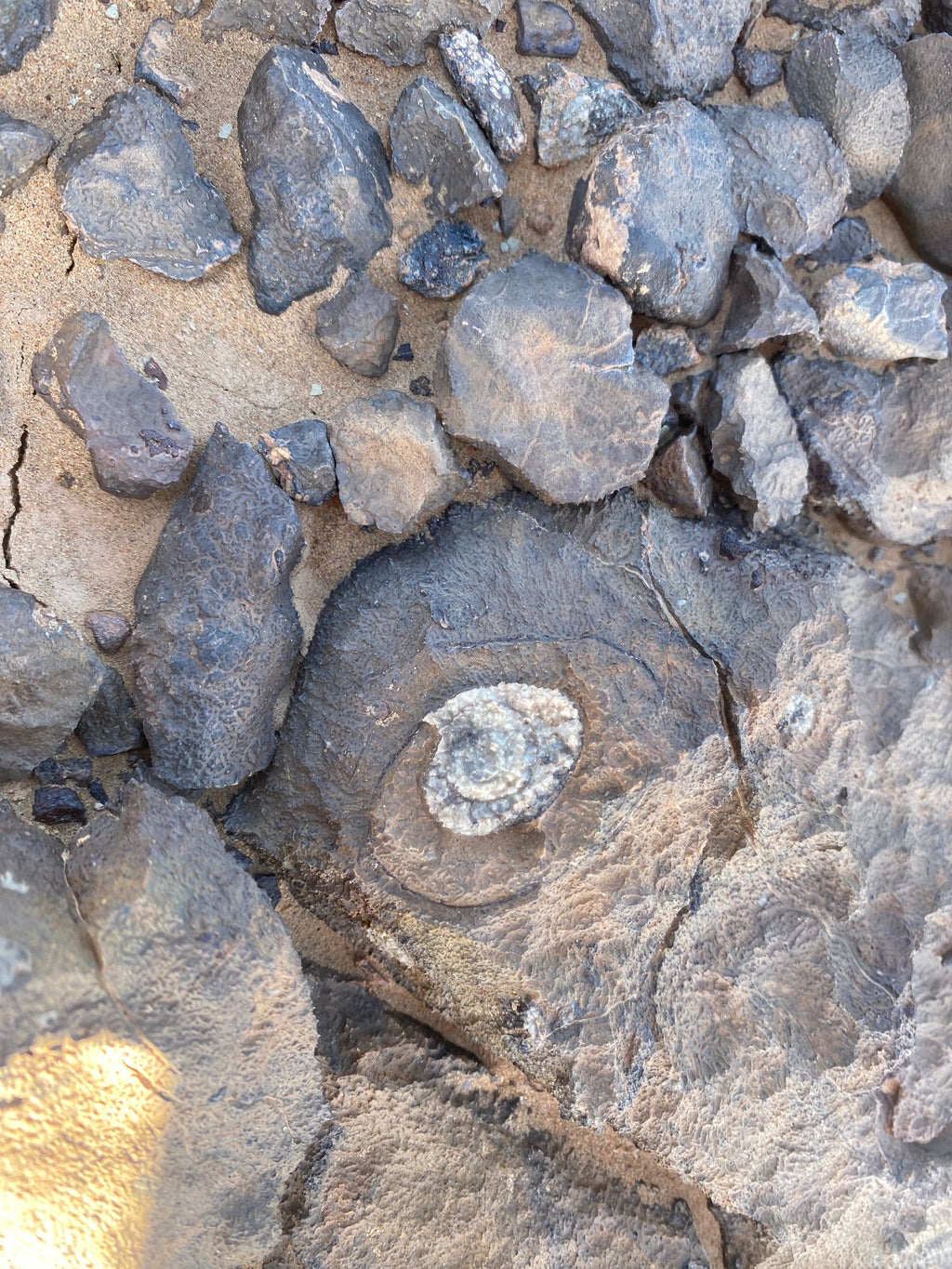 Nochevieja bajo las estrellas del Sahara