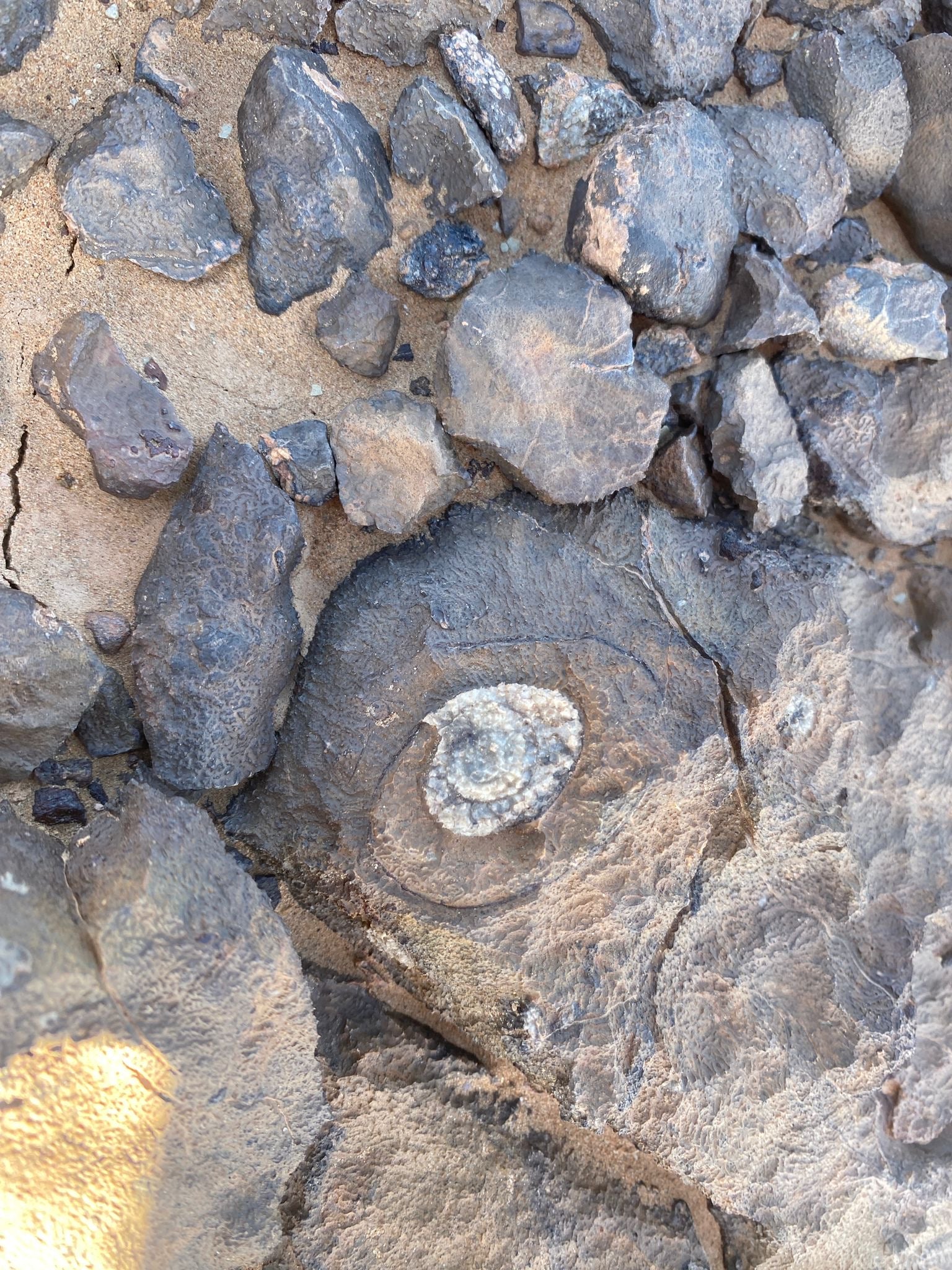 Nochevieja bajo las estrellas del Sahara
