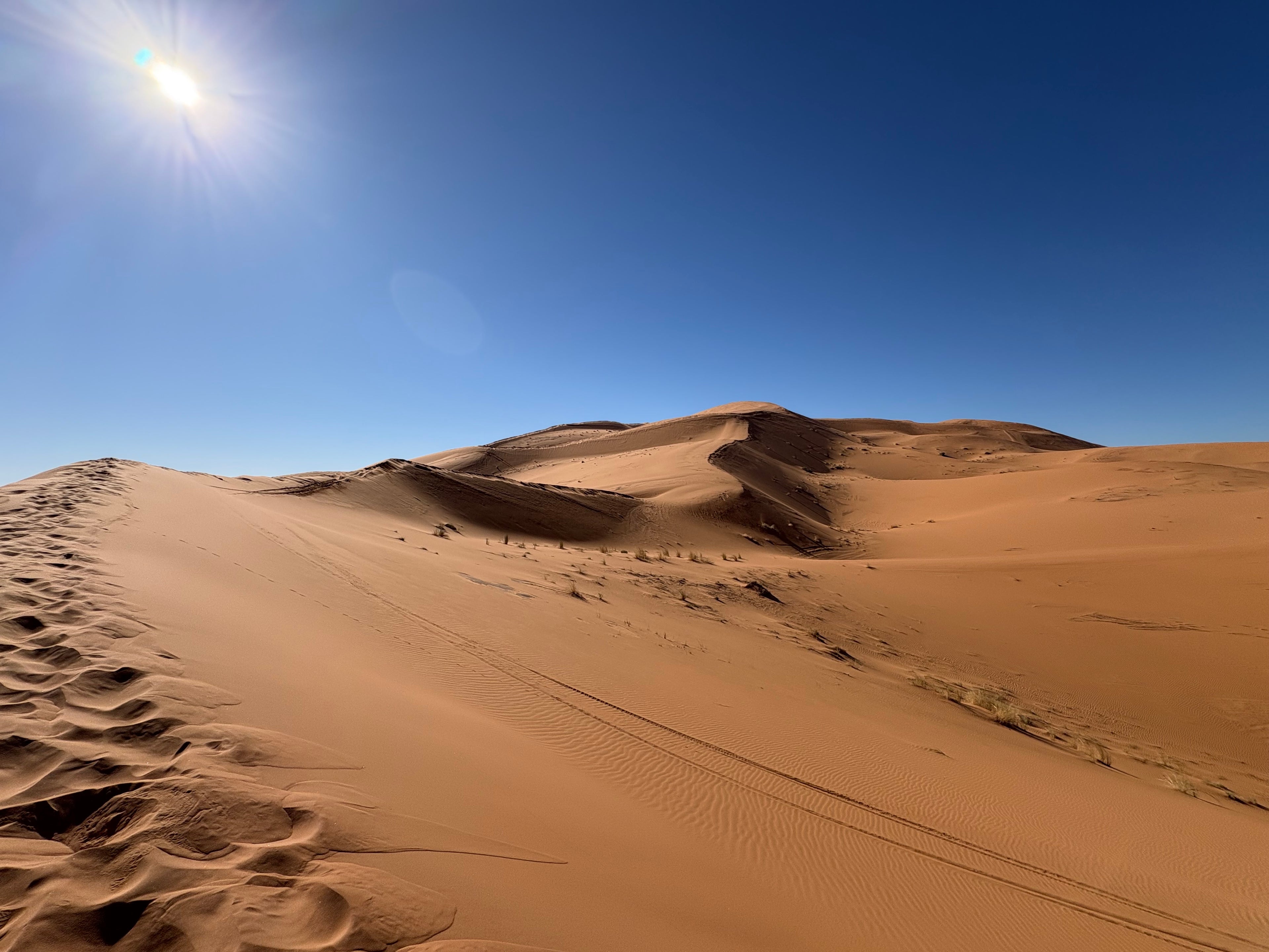 Nochevieja bajo las estrellas del Sahara