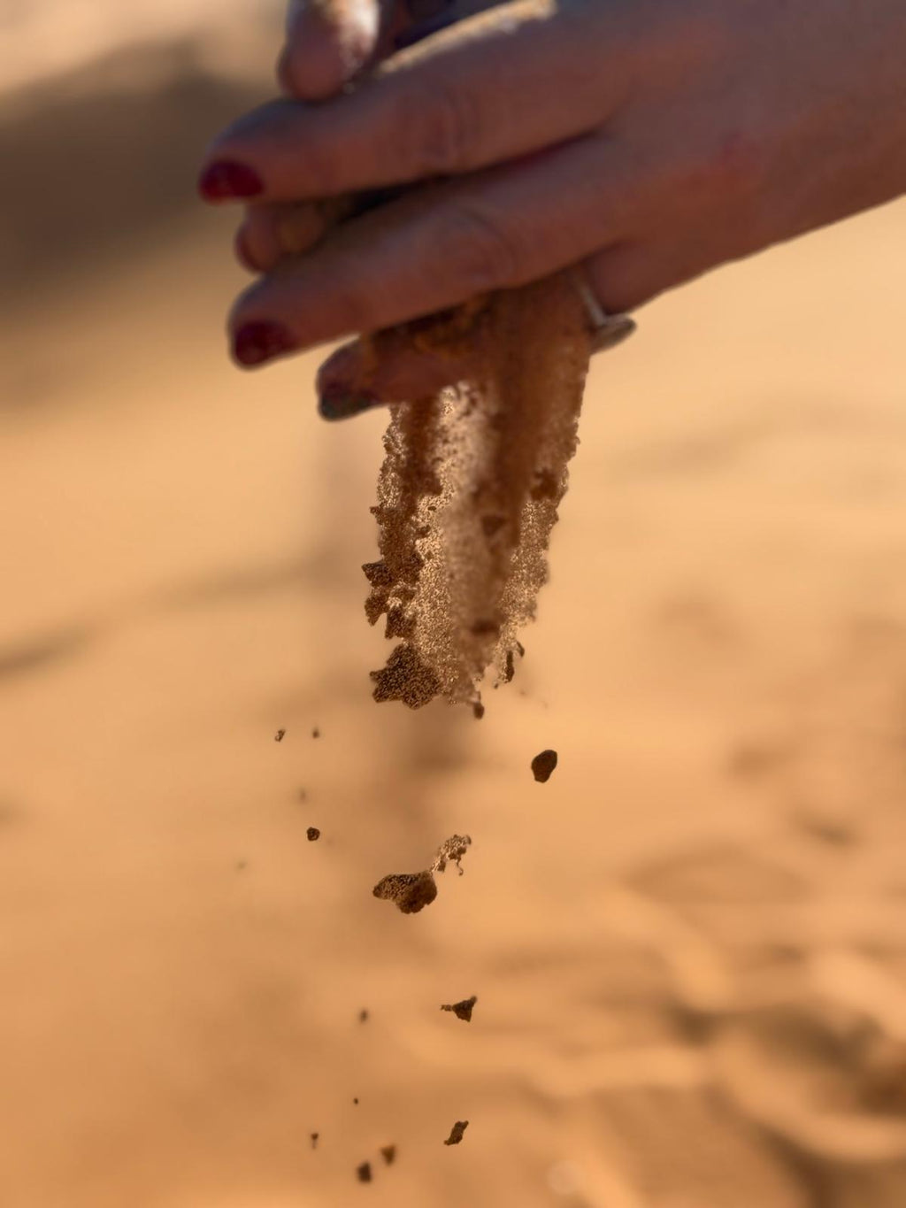 Nochevieja bajo las estrellas del Sahara