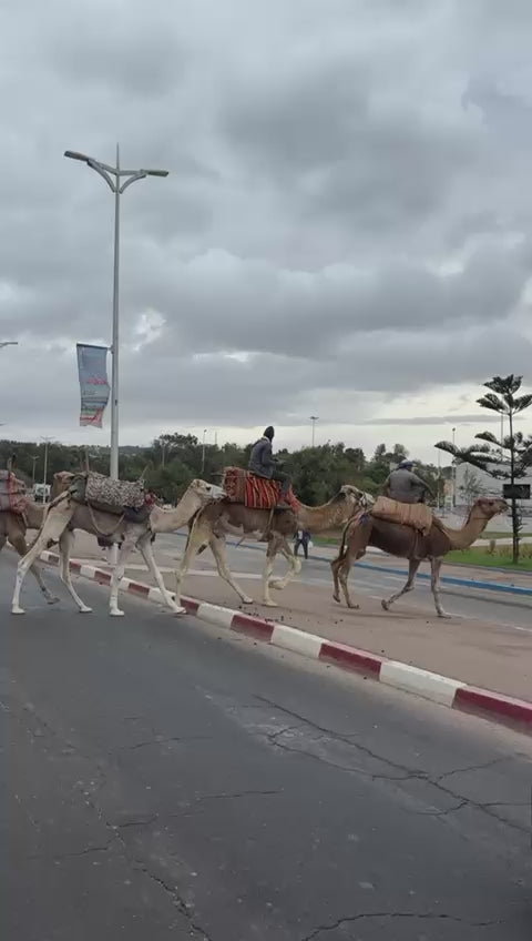 Marrakech & Essaouira: 4 días entre ciudad, mar y desierto